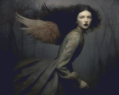 Morella counted cross stitch pattern by Alisa Smith Williams (Digital Format)