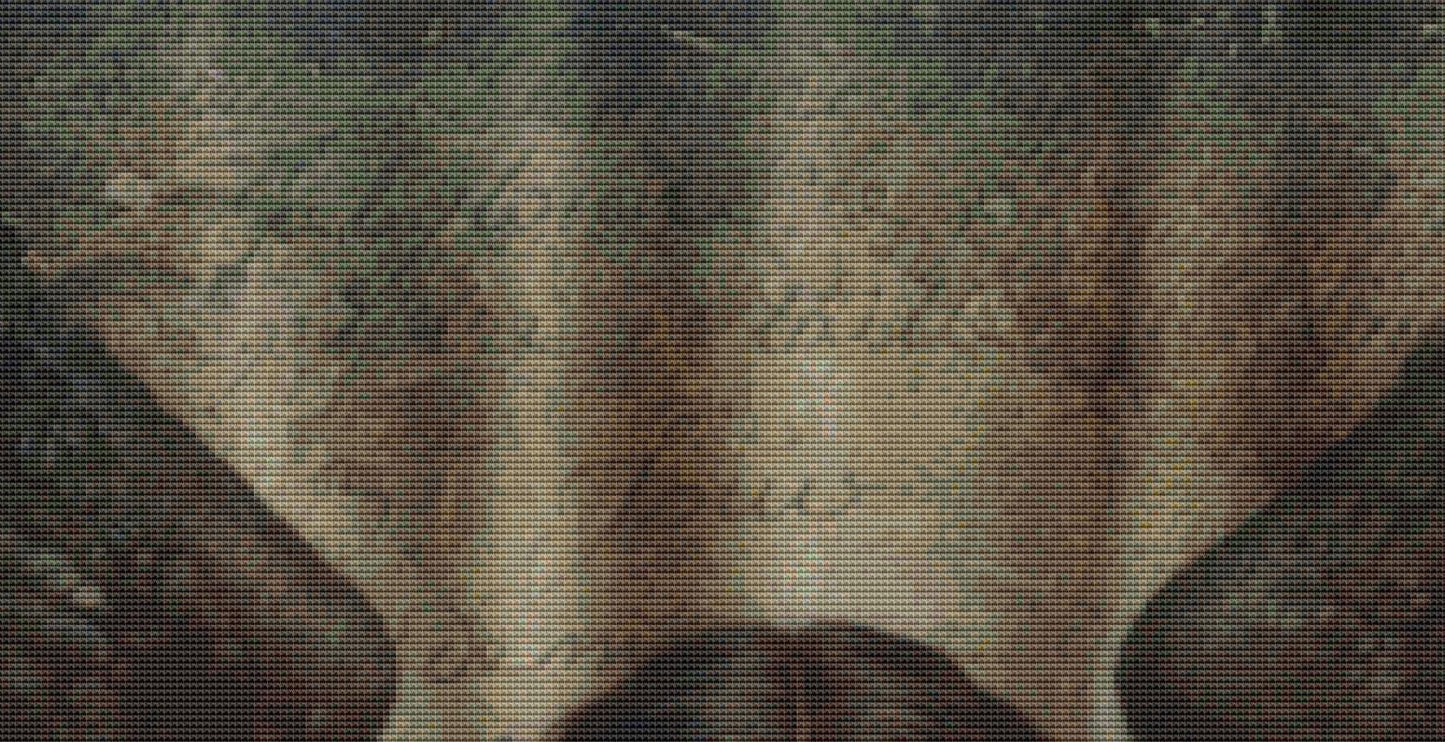 Dark Angel Reading counted cross stitch pattern by Alisa Smith Williams (Digital Format)