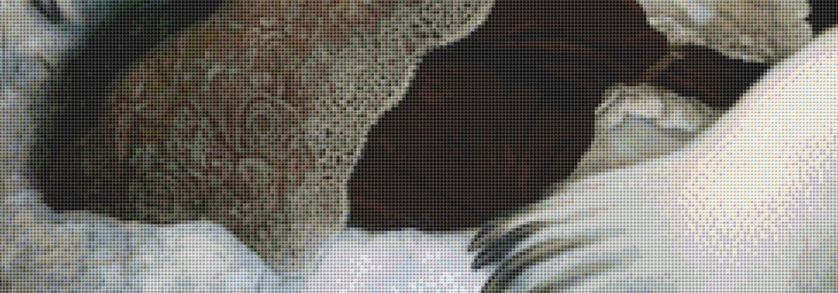 Shelter counted cross stitch pattern by Alisa Smith Williams