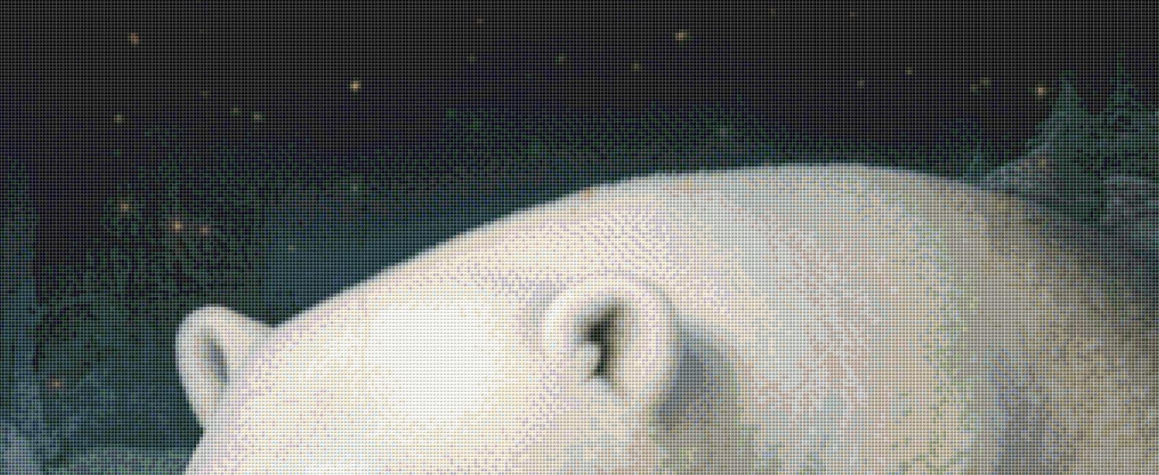 Shelter counted cross stitch pattern by Alisa Smith Williams