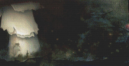 The Mushroom Fairy counted cross stitch pattern by Alisa Smith Williams