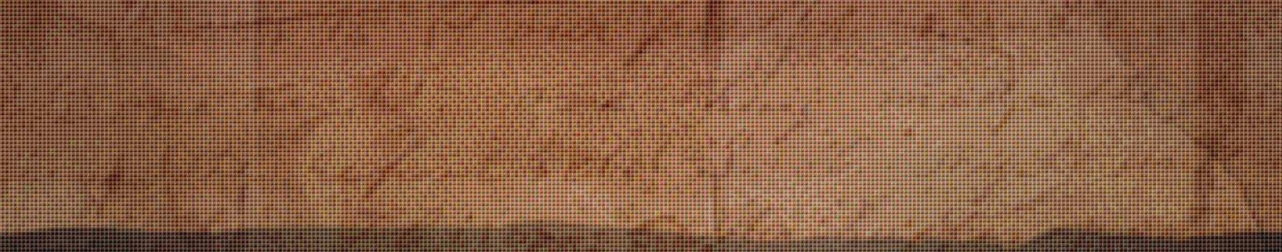 Dreamer counted cross stitch pattern by Alisa Smith Williams (Digital Format)