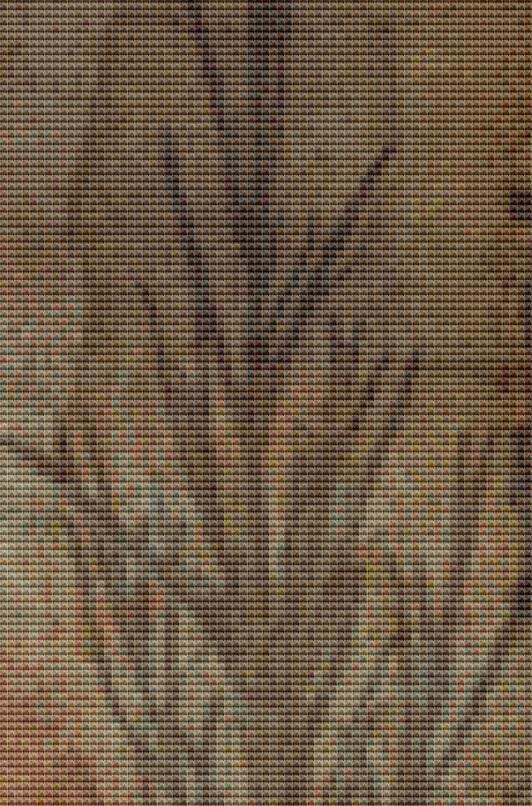Dreamer counted cross stitch pattern by Alisa Smith Williams (Digital Format)