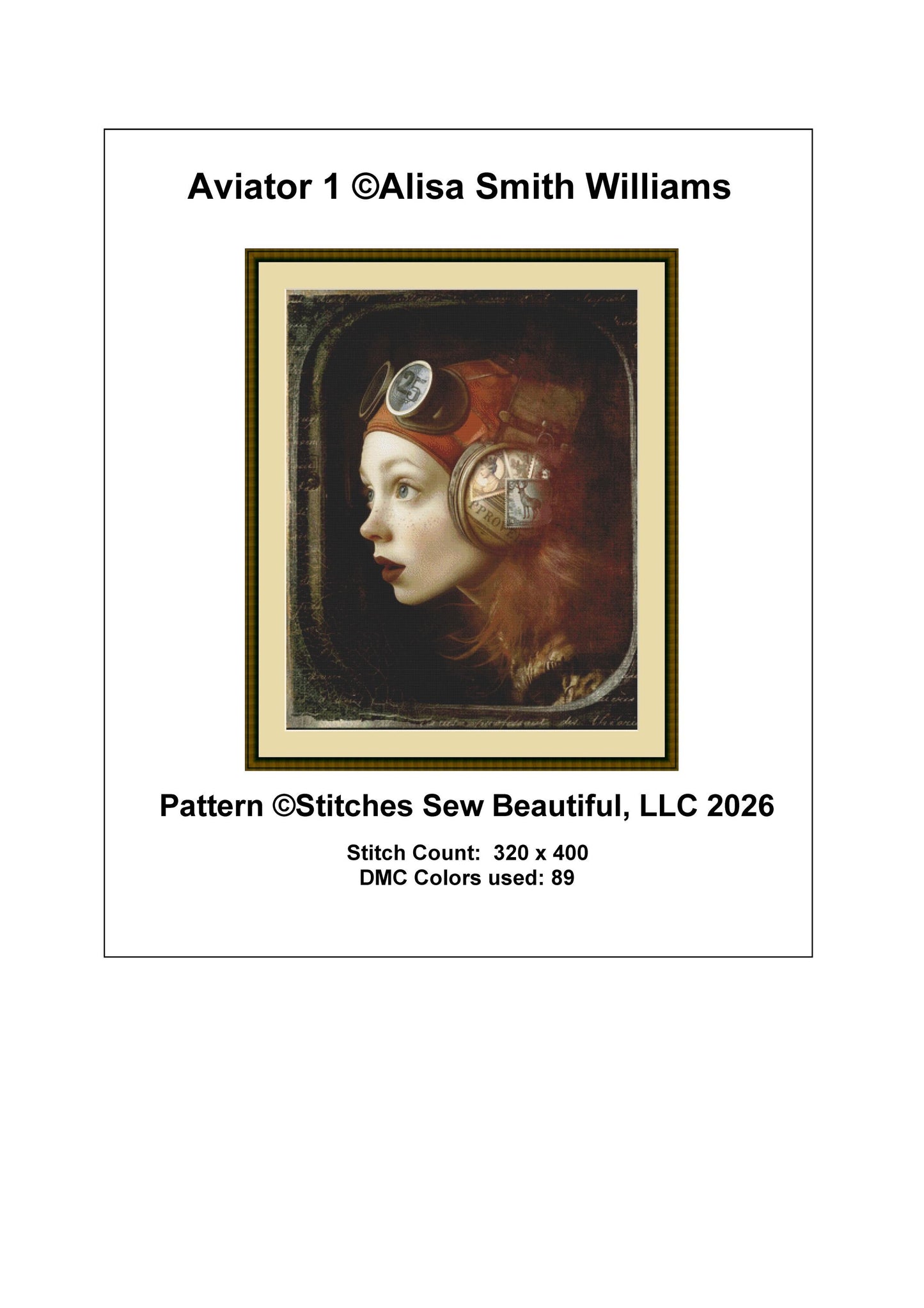 Aviator 1 counted cross stitch pattern by Alisa Smith Williams (Digital Format)