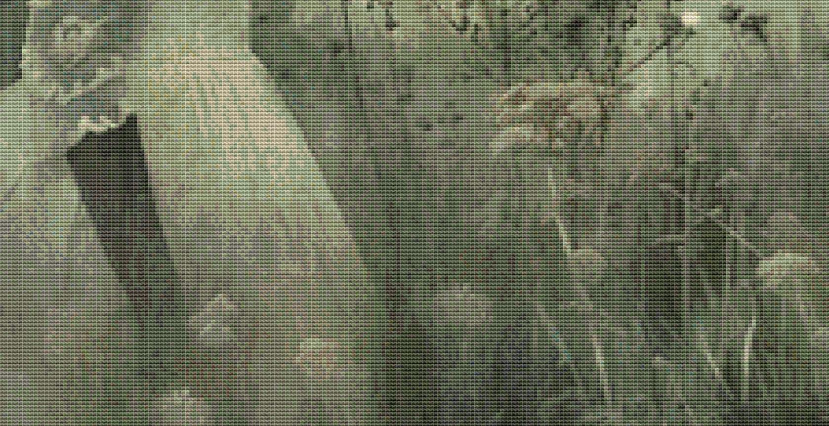 Dragon Girl 3 counted cross stitch pattern by Alisa Smith Willliams (Digital Format)