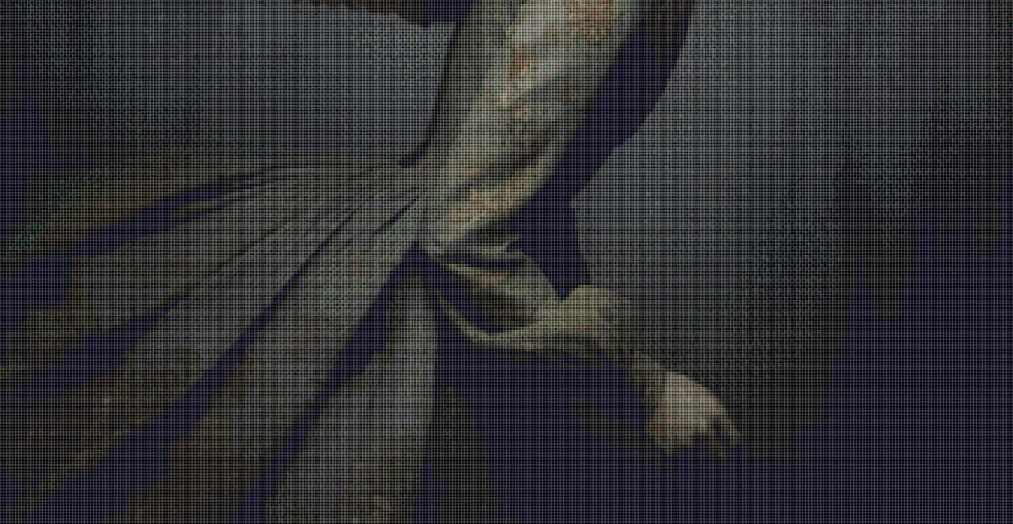 Morella counted cross stitch pattern by Alisa Smith Williams (Digital Format)