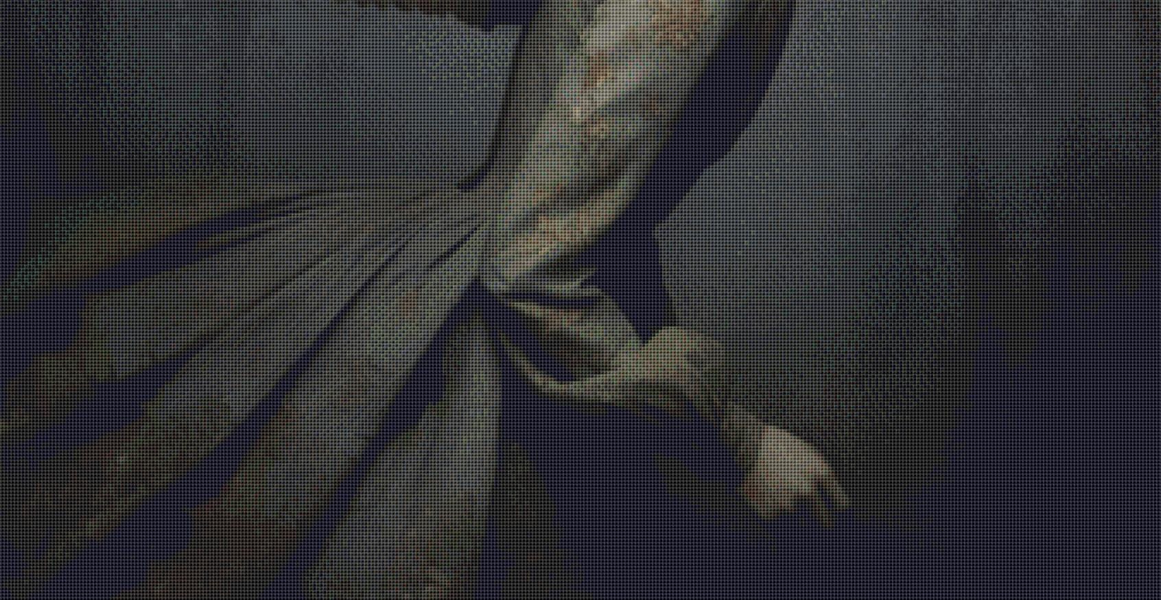 Morella counted cross stitch pattern by Alisa Smith Williams (Digital Format)