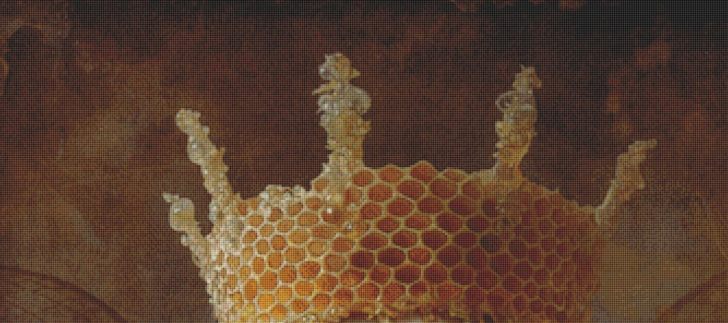 The Queen Bee counted cross stitch pattern by Alisa Smith Williams (Digital Format)