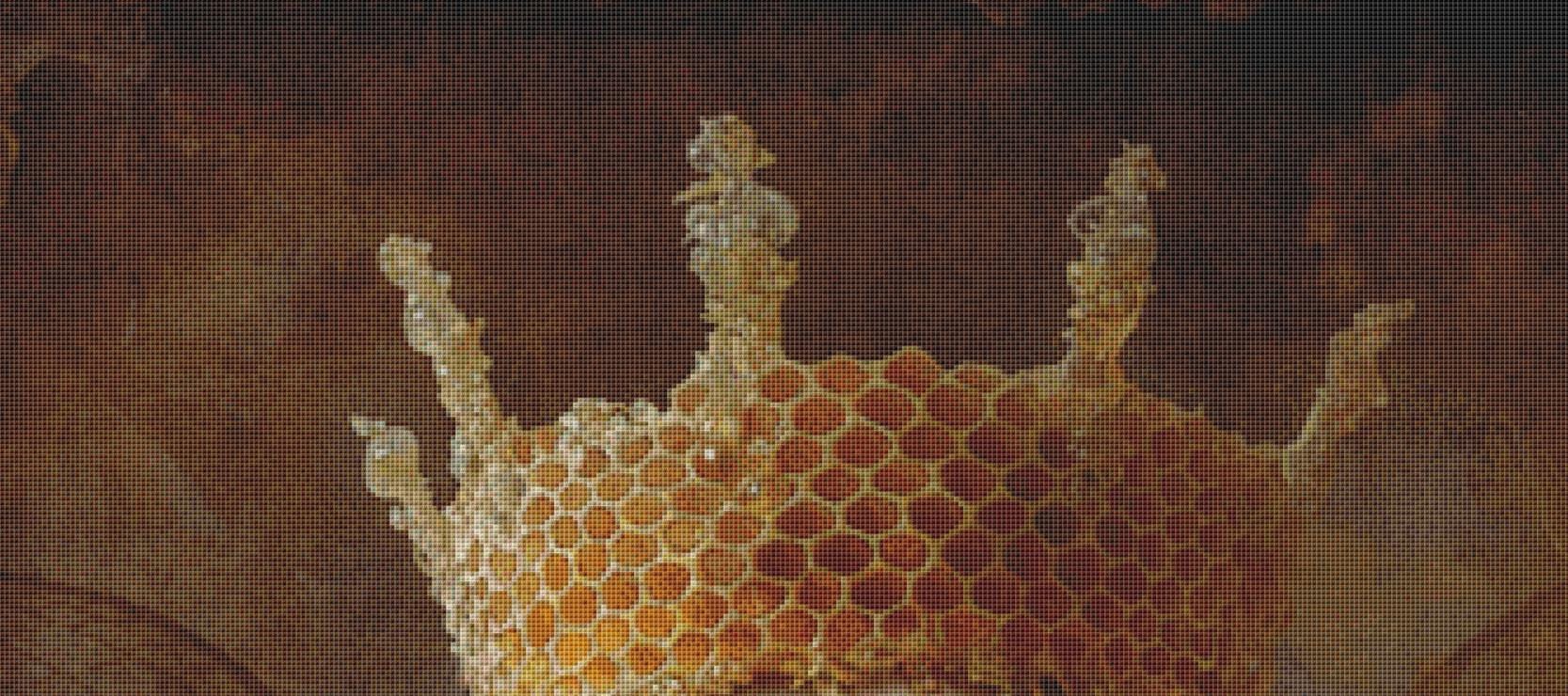 The Queen Bee counted cross stitch pattern by Alisa Smith Williams (Digital Format)