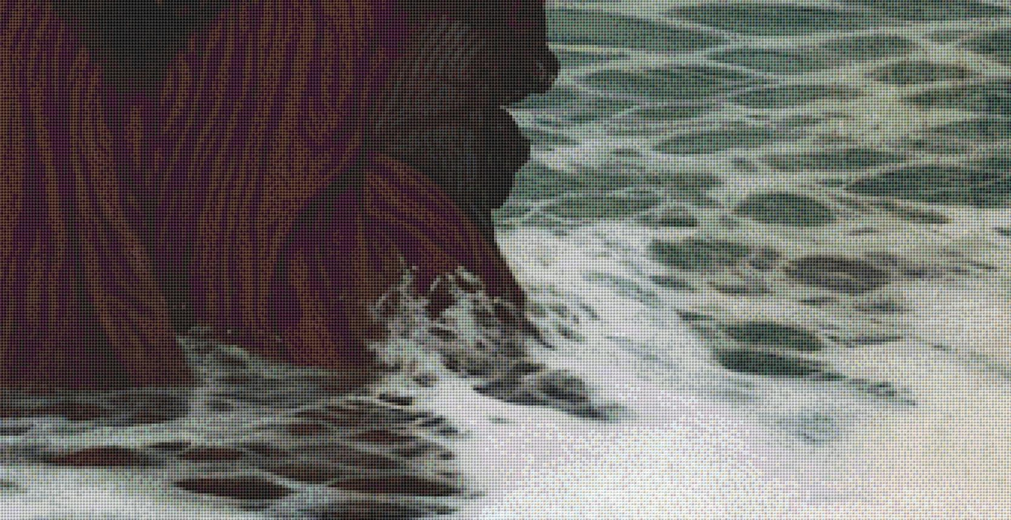 The Rain (Max Size/Color) counted cross stitch pattern by Alisa Smith Williams (Digital Format)